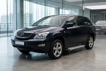Lexus RX 2003-2009 Seitenschweller Vision New Grey (2 Stk., Aluminium) Foto 1