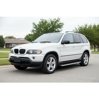 Seitenschweller Fullmond (2 Stk, Alu) BMW X5 E53 1999–2006 Foto 1