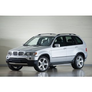 Seitenschweller Tayga Grey (2 Stk, Alu) Foto 1
