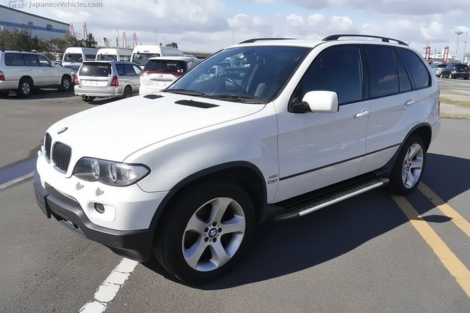 BMW X5 E53 1999–2006 Trittbretter Bosphorus Grey (2 Stk, Alu) Image