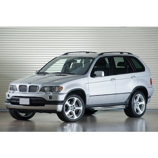 Trittbretter Maydos V2 (2 Stk, Aluminium) BMW X5 E53 1999–2006 Foto 1