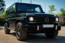 Mercedes G class W463 1990-2018 Frontgrill (GT Panamericana, ohne Chrom) Foto 3