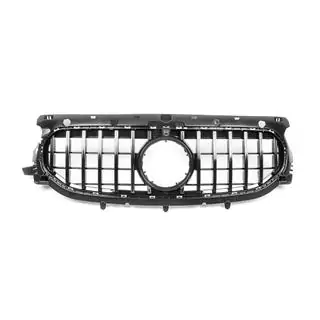 Frontgrill Panamericana GT Foto 2