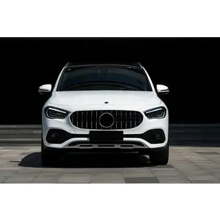 Frontgrill Panamericana GT Foto 1