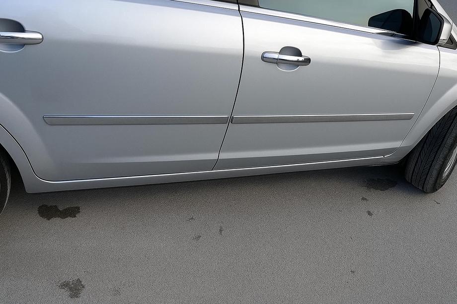 Ford C-Max 2004-2010 Türleisten Edelstahl (4 Stk) Carmos - Türkischer Edelstahl Image