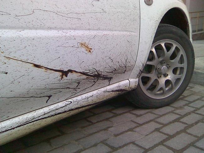 Wie reinige ich das Auto von Bitumen?