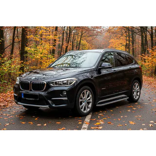 Seitenschweller Tayga Grey (2 Stk., Aluminium) Foto 1