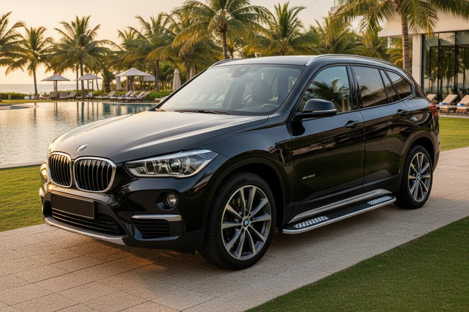 BMW X1 F48 2015-2022 Seitenschweller Tayga V2 (2 Stk., Aluminium) Image