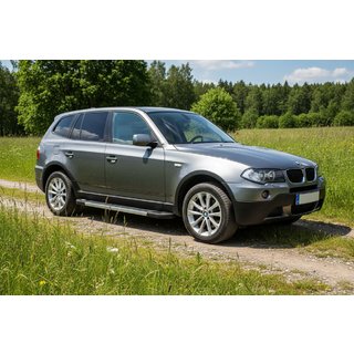 Seitenschweller RedLine (2 Stk., Aluminium) Foto 1