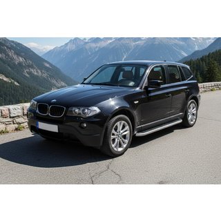 Seitenschweller Tayga Grey (2 Stk., Aluminium) BMW X3 E83 2003-2010 Foto 1