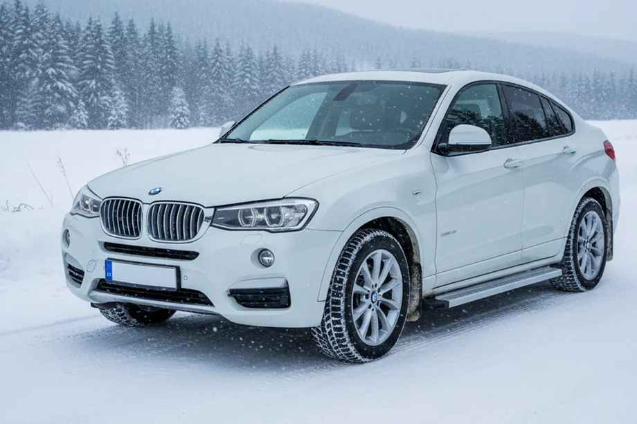BMW X4 F26 2014-2018 Seitenschweller Maya V2 (2 Stk., Aluminium) Image