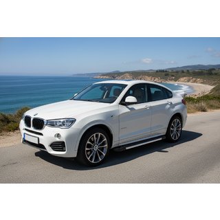 Seitenschweller RedLine (2 Stk., Aluminium) BMW X4 F26 2014-2018 Foto 1