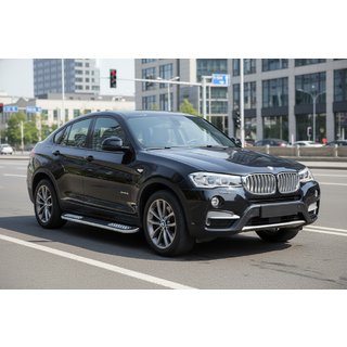 Seitenschweller Tayga V2 (2 Stk., Aluminium) Foto 1