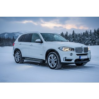 Trittbretter Rainbow (2 Stk., Aluminium) BMW X5 F15 2013-2018 Foto 1