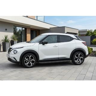 Seitenschweller Tayga Black (2 Stk., Aluminium) Foto 1