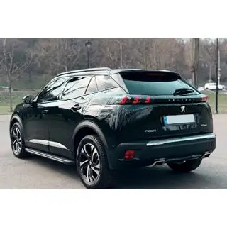 Seitenschweller Bosphore Grey (2 Stk., Aluminium) Foto 1