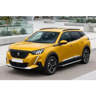 Trittbretter Duru (2 Stk., Aluminium) Foto 1