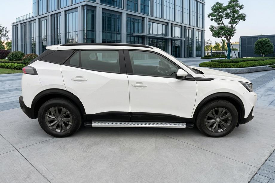 Peugeot 2008 2019- Seitenschweller Maya V2 (2 Stk., Aluminium) Image