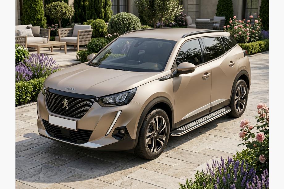 Peugeot 2008 2019- Trittbretter Maydos V2 (2 Stk., Aluminium) Image