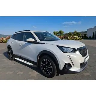 Trittbretter Allmond Grey (2 Stk., Aluminium) Foto 1
