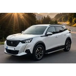 Seitenschweller BlackLine (2 Stk., Aluminium) Foto 1