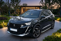Peugeot 2008 2019- Seitenschweller Tayga Grey (2 Stk., Aluminium) Foto 1