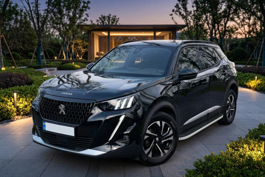 Peugeot 2008 2019- Seitenschweller Tayga Grey (2 Stk., Aluminium) Image