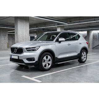 Seitenschweller BlackLine (2 Stk., Aluminium) Foto 1
