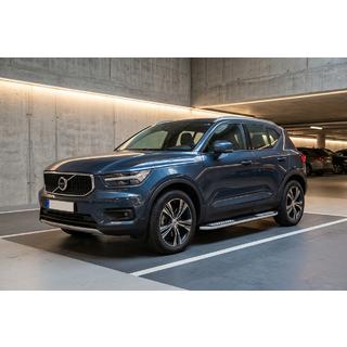 Seitenschweller Tayga V2 (2 Stk., Aluminium) Foto 1