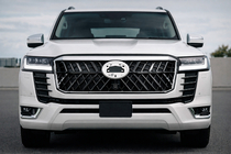 Toyota Land Cruiser 300 2021- Frontgrill Wald Foto 1