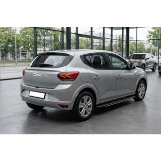 Trittbretter Bosphorus Grey (2 Stk., Aluminium) Foto 1