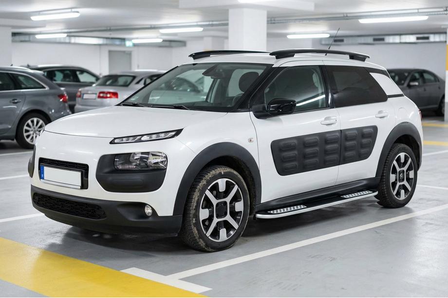 Citroen Cactus 2014-2020 Seitenschweller Tayga V2 (2 Stk., Aluminium) Image