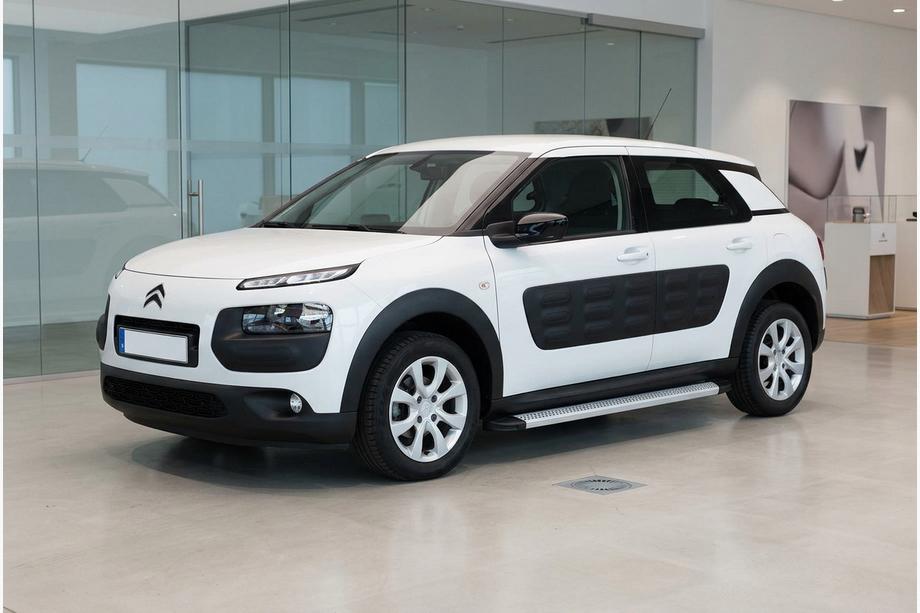 Citroen Cactus 2014-2020 Seitenschweller Maya V2 (2 Stk., Aluminium) Image
