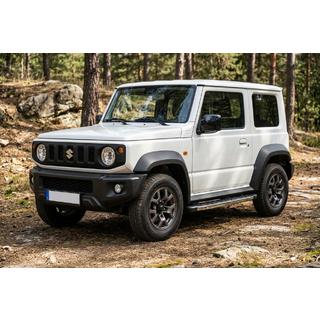 Seitenschweller BlackLine (2 Stk., Aluminium) Foto 1