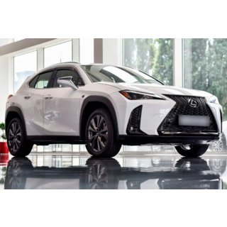 Windabweiser mit Chromleiste (4 Stk, HIC) Lexus UX 2018- Foto 1