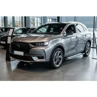 Trittbretter Rainbow (2 Stk., Aluminium) DS 7 Crossback 2017-2022 Foto 1