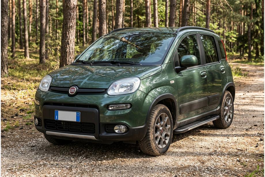 Fiat Panda 2011-2023 Seitenschweller Bosphore Grey (2 Stk., Aluminium) Image